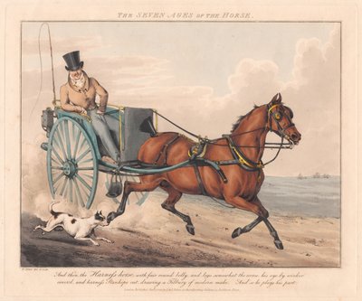 Hétrészes sorozat: A ló hét életkora alkotó: Henry Thomas Alken