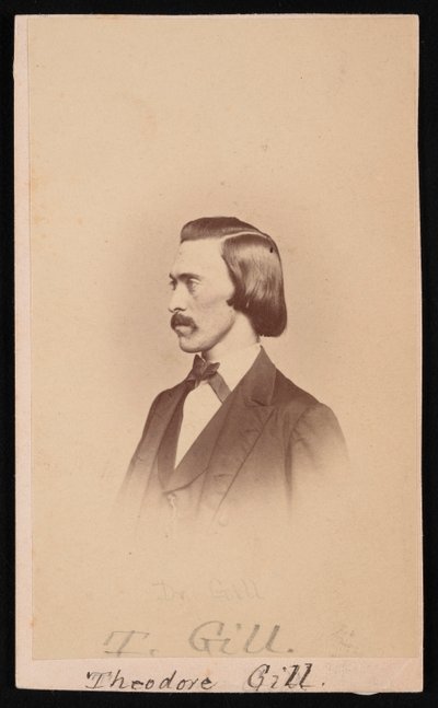 Theodore Nicholas Gill portréja 1837-1914, 1865 és 1870 között. alkotó: Henry Ulke