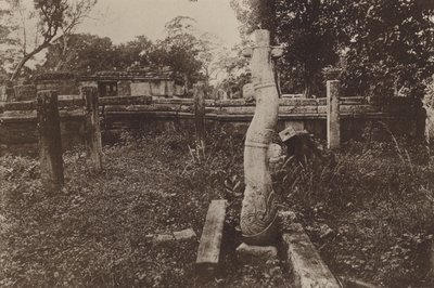 Ceylon romvárosai: furcsa, lekerekített oszlop és romok (f/w fotó) alkotó: Henry W. Cave