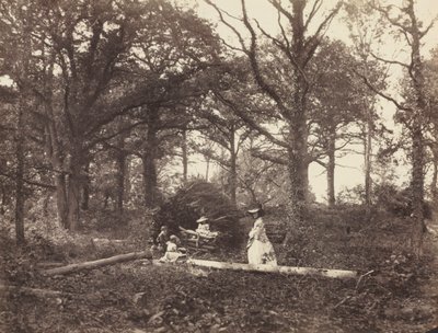 Táj, 1856. alkotó: Henry White