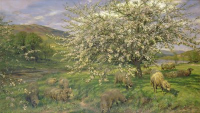 Ismeretlen kép alkotó: Henry William Banks Davis