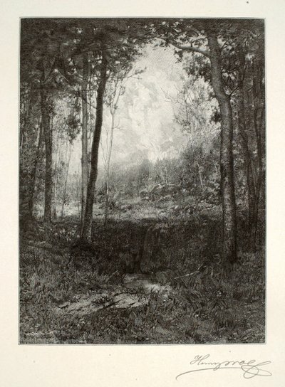 Az Adirondacksben alkotó: Henry Wolf