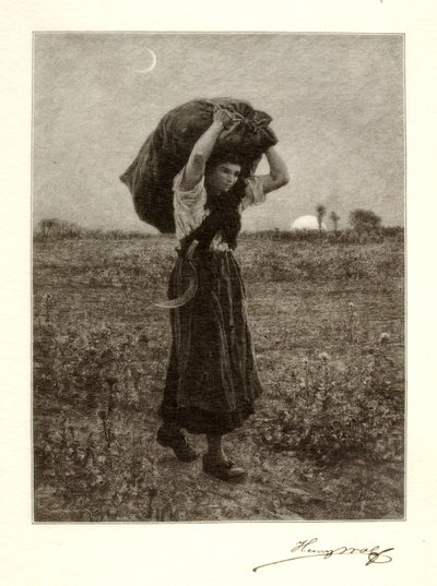Le Soir alkotó: Henry Wolf