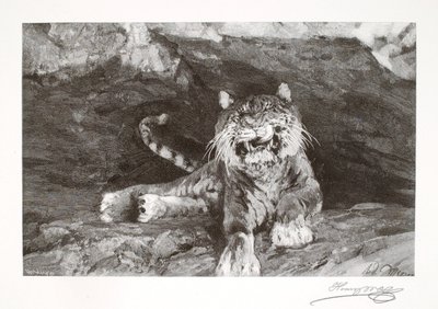 Tigris alkotó: Henry Wolf