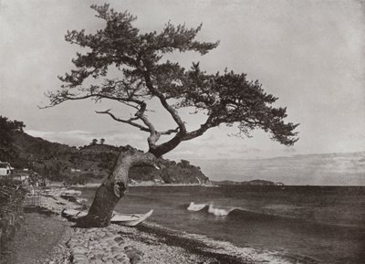Atami (f/w fotó) alkotó: Herbert Ponting