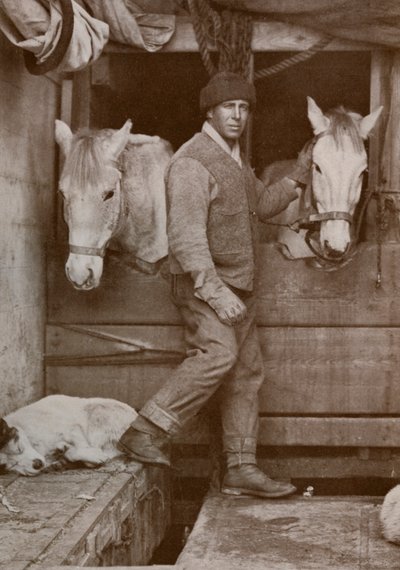 Oates kapitány és pónik a Terra Nován, 1910-1912, 1913. alkotó: Herbert Ponting