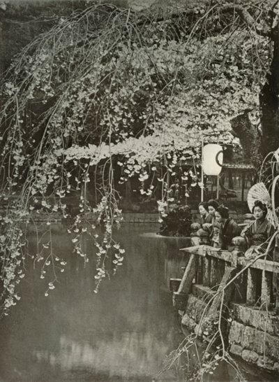 Cseresznyevirágzás ideje Japánban, 1910. alkotó: Herbert Ponting