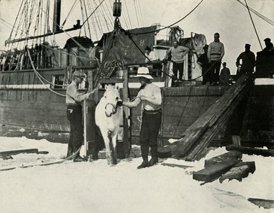 A pónik partraszállása, c19101913, 1913 alkotó: Herbert Ponting