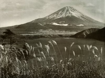 Fuji és a Kaia fű, 1910. alkotó: Herbert Ponting
