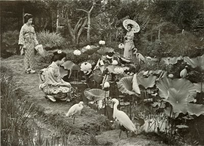 Lotus-Landben, 1910. alkotó: Herbert Ponting