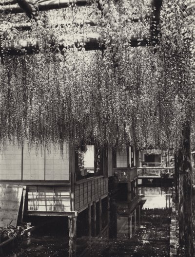 Japán az 1920-as években: Tokió, Kameido (f/w fotó) alkotó: Herbert Ponting