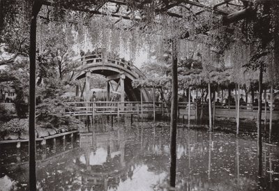 Kameido (f/w fotó) alkotó: Herbert Ponting