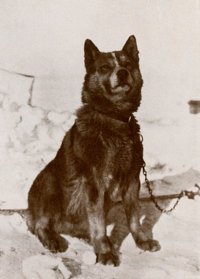Krisravica, 19101913, 1913 alkotó: Herbert Ponting