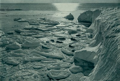Fókák sütkéreznek az újonnan kialakított palacsintajégen Cape Evans mellett, c19101913, 1913 alkotó: Herbert Ponting