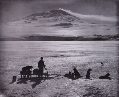 Sledge and dogs, with Mount Erebus in background (b/w photo) alkotó: Herbert Ponting