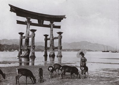 The Old Torii Miyajimában (f/w fotó) alkotó: Herbert Ponting