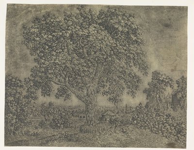 A nagy fa alkotó: Hercules Segers