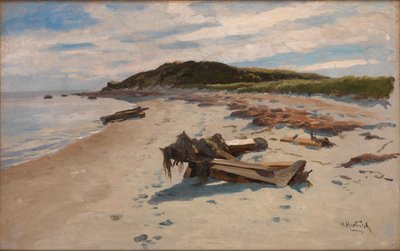 Cape Cod, tengerpart alkotó: Herman Hartwich