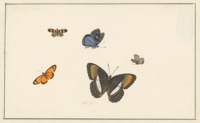 Öt pillangó (akvarell és gouache) alkotó: Herman Henstenburgh