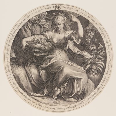 Flora alkotó: Herman Jansz. Muller