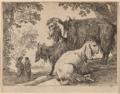 Angora juh alkotó: Herman van Swanevelt