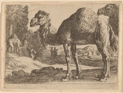 tevék alkotó: Herman van Swanevelt