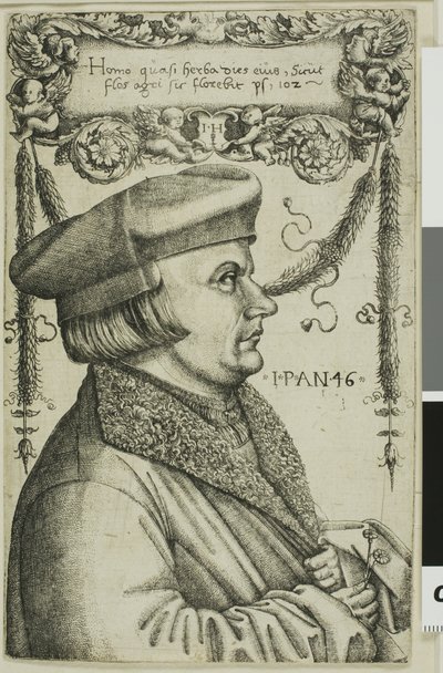 Egy férfi portréja alkotó: Hieronymous Hopfer