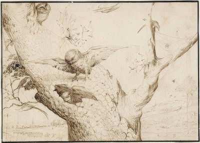 Eulennest. A 1505-10 alkotó: Hieronymus Bosch