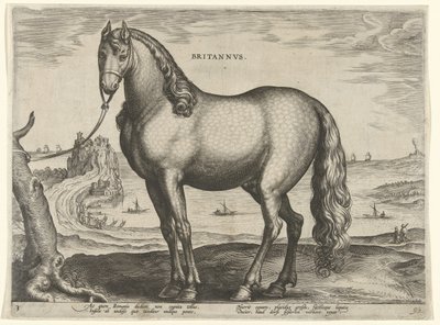 Ló Bretagne-ból (Brittanus) Britannvs (cím az objektumon) Lófajták az osztrák Don Juan királyi istállójából (sorozat címe) Equile Ioannis Austriaci Caroli (sorozat címe) alkotó: Hieronymus Wierix