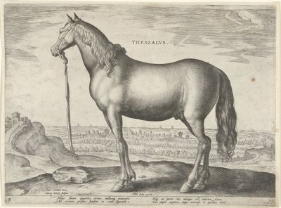 Ló Thesszáliából (Thessalus) Thessalvs (cím a tárgyon) Lófajták az osztrák Don Juan királyi istállójából (sorozat címe) Equile Ioannis Austriaci Caroli (sorozat címe) alkotó: Hieronymus Wierix