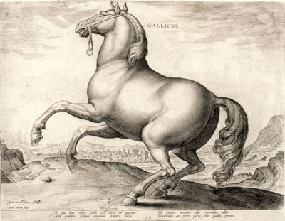 Gallicus a Lovak sorozatból az osztrák Don Juan istállójából (metszet a szövésre) alkotó: Hieronymus or Jerome Wierix