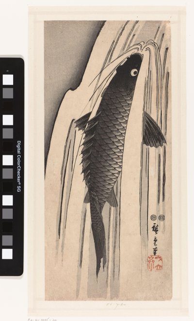 Ponty úszik fel egy vízesésre alkotó: Hiroshige (I) , Utagawa