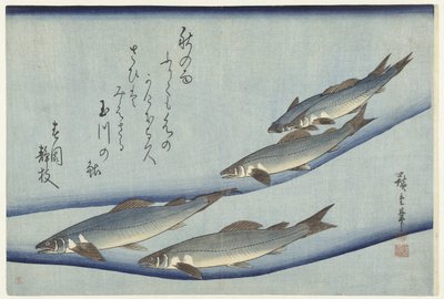 Pisztráng alkotó: Hiroshige (I) , Utagawa
