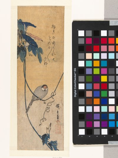 Madár és kék szálka alkotó: Hiroshige (I) , Utagawa