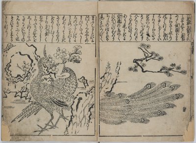 Virágok és madarak gyűjteménye (Kacho zukushi) alkotó: Hishikawa Moronobu