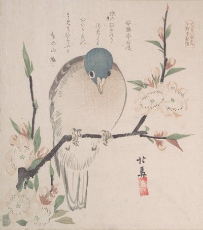Tavaszi esőkollekció Harusame shu, vol. 3: Hegyi galamb és őszibarack virágok, kb. 1820., kb. 1820. alkotó: Hokuba