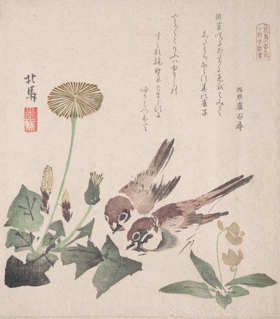 Tavaszi esőkollekció Harusame shu, vol. 3: verebek és pitypangok, kb. 1820., kb. 1820. alkotó: Hokuba