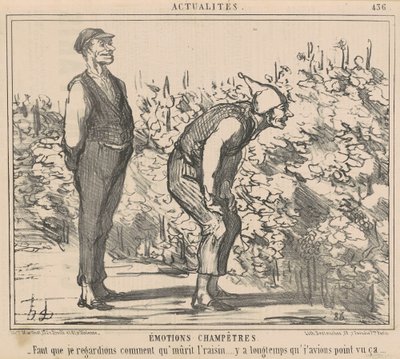 Meg kell néznem, hogyan érik a szőlő... alkotó: Honoré Daumier
