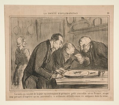 Tudósok az öröm csúcsán az első kis krokodilról elmélkedve alkotó: Honoré Daumier