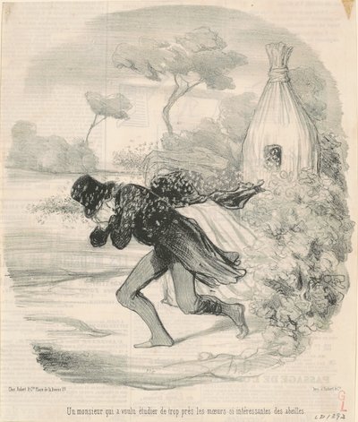 Egy úriember, aki a méhek erkölcseit akarta tanulni alkotó: Honoré Daumier