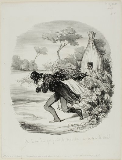 Egy úriember, aki túl közelről akarta tanulmányozni a méhek szokásait, 6. tábla a Pastoralesből alkotó: Honoré Victorin Daumier