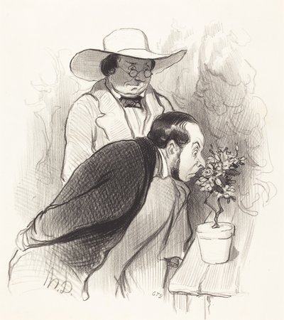 Egy botanikus diadala alkotó: Honoré Daumier