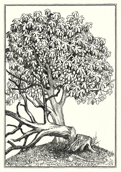 Illusztráció a Hegyi beszédhez (metszet) alkotó: Horace J. Knowles
