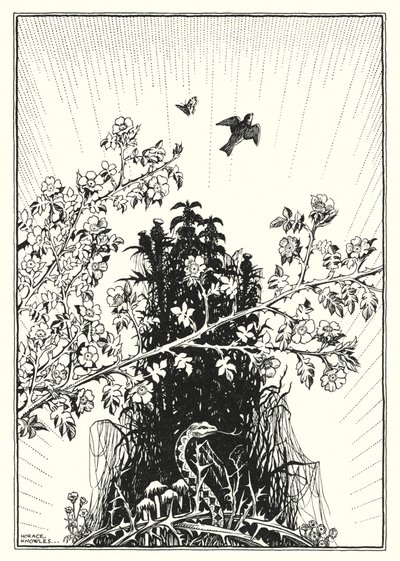 Illusztráció a Hegyi beszédhez (metszet) alkotó: Horace J. Knowles