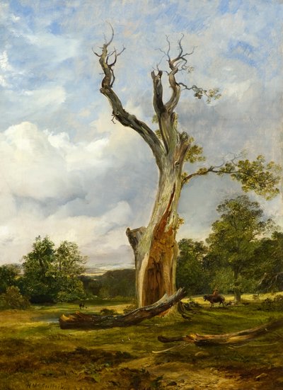The Blasted Tree, 1838 körül (olaj, vászon) alkotó: Horatio McCulloch