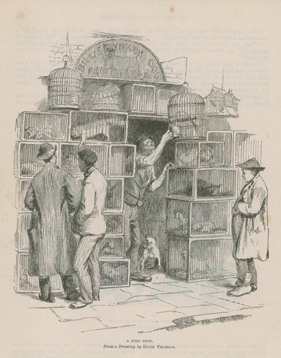Madárbolt alkotó: Hugh Thomson