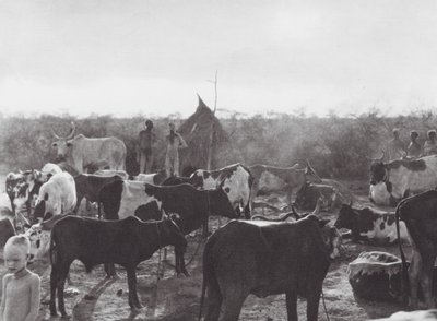 Afrika: Bahr el Zeraf partján (fekete-fehér fotó) alkotó: Hugo Adolf Bernatzik