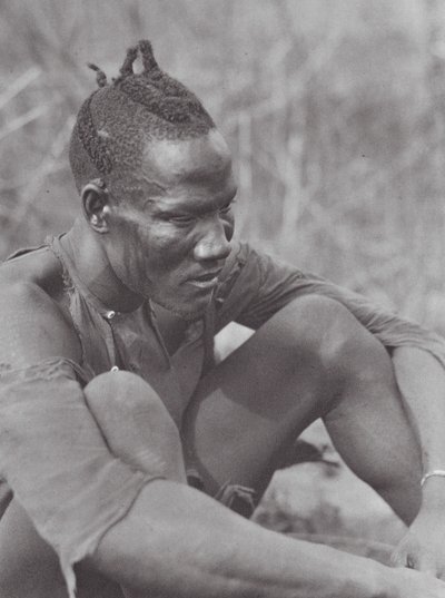 Afrika: Djur (fekete-fehér fotó) alkotó: Hugo Adolf Bernatzik
