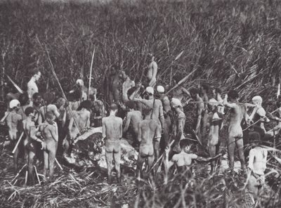 Afrika: Nuer vadászok elefánttetemmel (fekete-fehér fotó) alkotó: Hugo Adolf Bernatzik