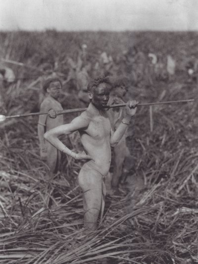 Afrika: Nuer harcosok a mocsárban (fekete-fehér fotó) alkotó: Hugo Adolf Bernatzik